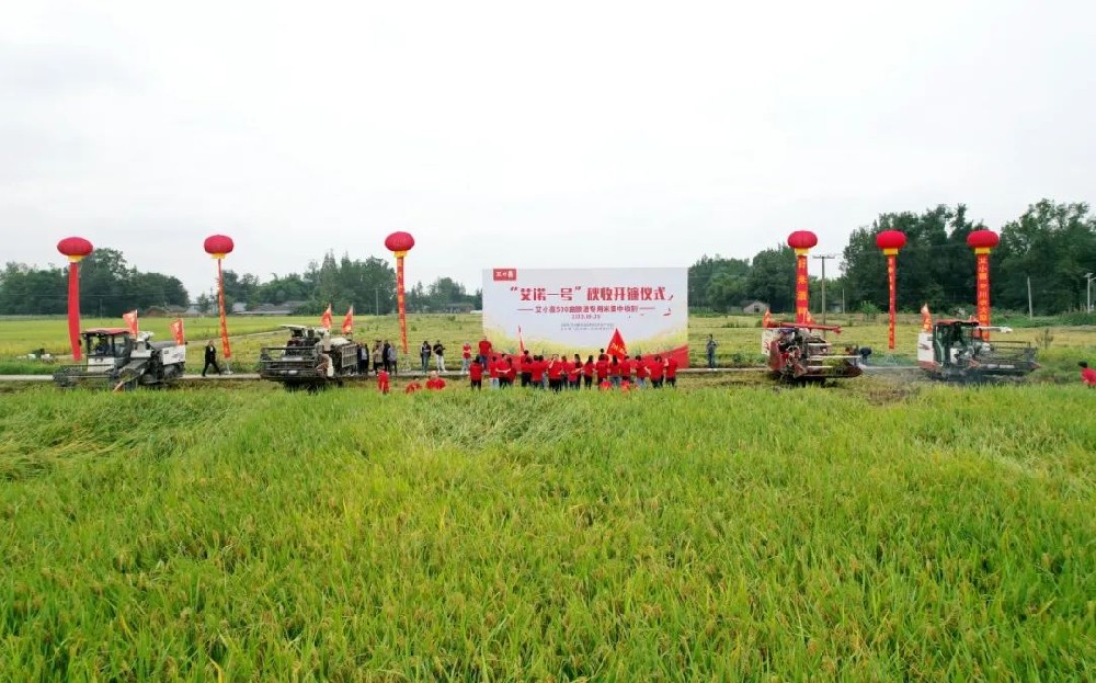 1699920559166345.jpg 图片22.jpg