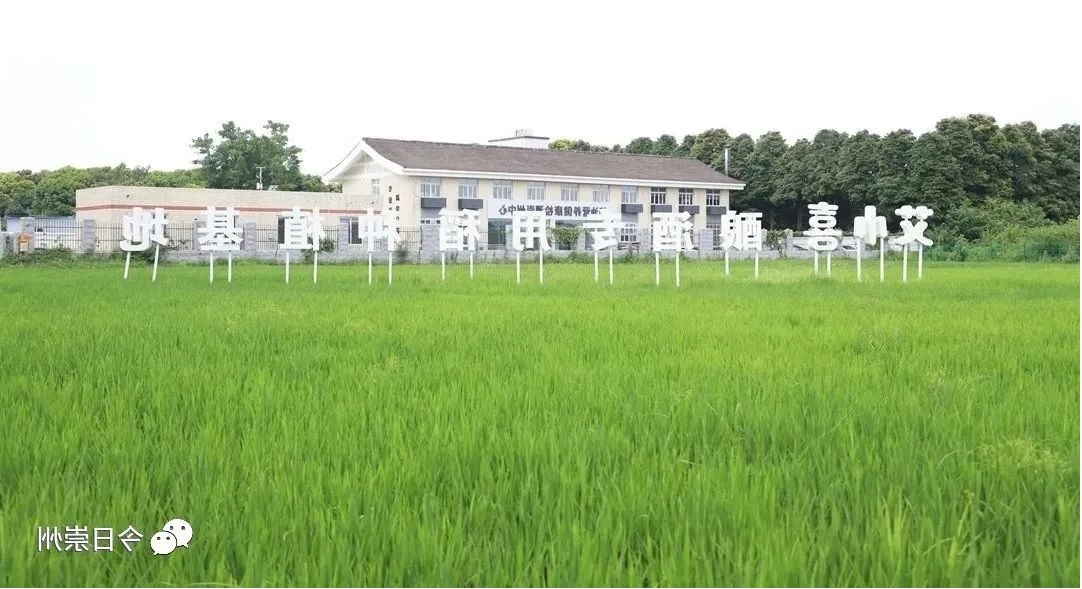 1699920676617812.jpg 图片32.jpg